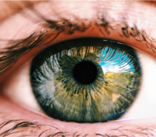 retina care
